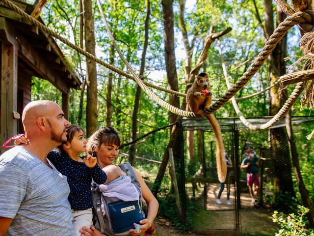 Réserve Zoologique de Calviac en Dordogne Périgord